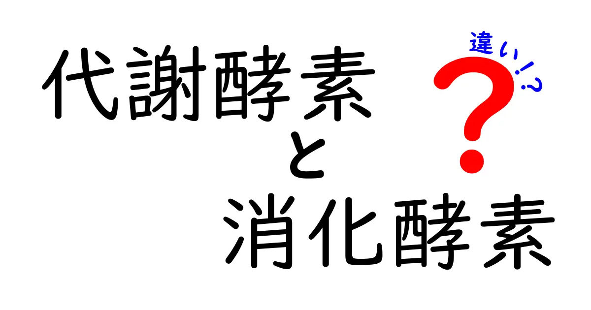 代謝酵素と消化酵素の違いを徹底解説!この違いを知れば体のしくみがよくわかる