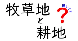 牧草地と耕地の違いを徹底解説!用途・見分け方・使い分けのポイントを中学生にもわかる図解付き