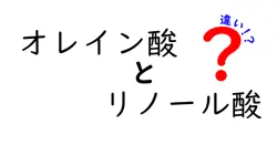 オレイン酸とリノール酸の違いを徹底解説！中学生にもわかる脂肪酸の基本