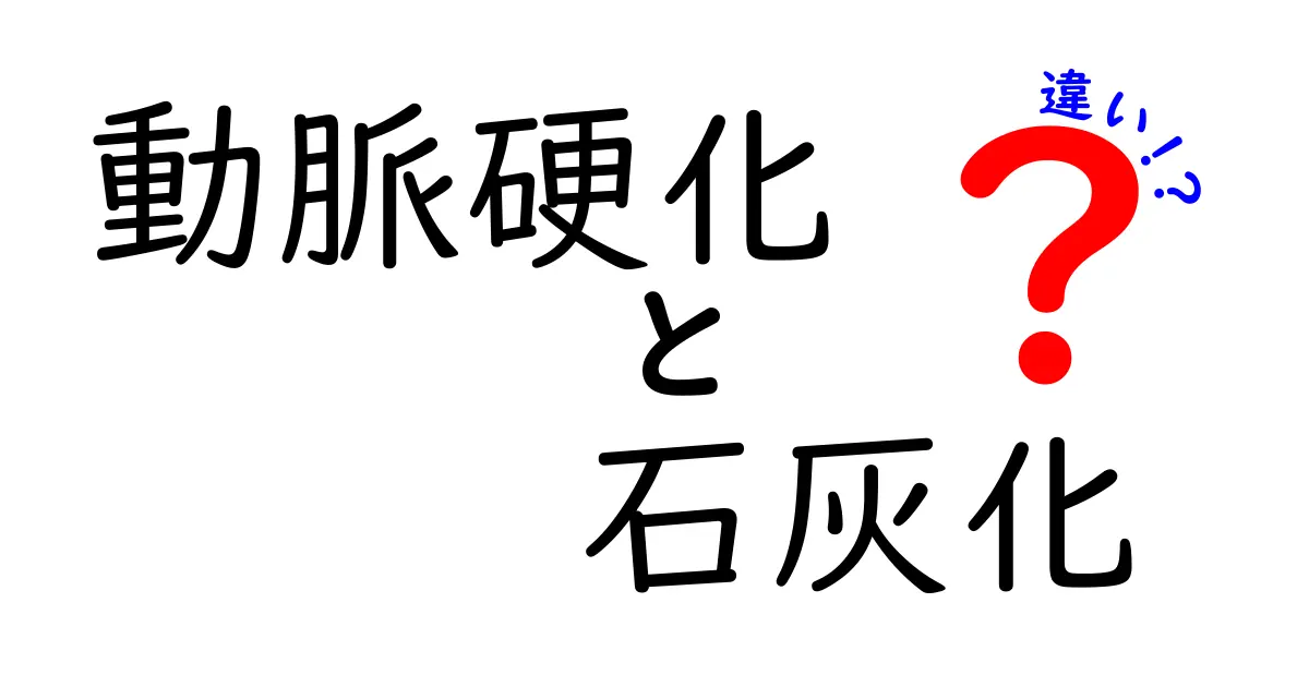 動脈硬化と石灰化の違いを徹底解説!中学生にもわかる図解と日常の予防法
