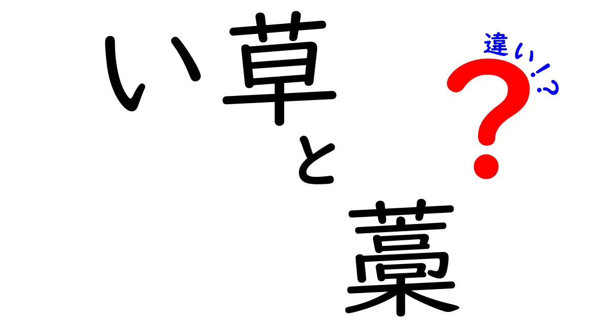 い草と藁の違いを徹底解説|素材の正体と使い道がわかるわかりやすい比較