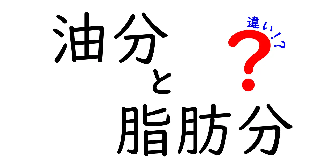油分と脂肪分の違いを徹底解説!いまさら聞けない食品選びの新基準