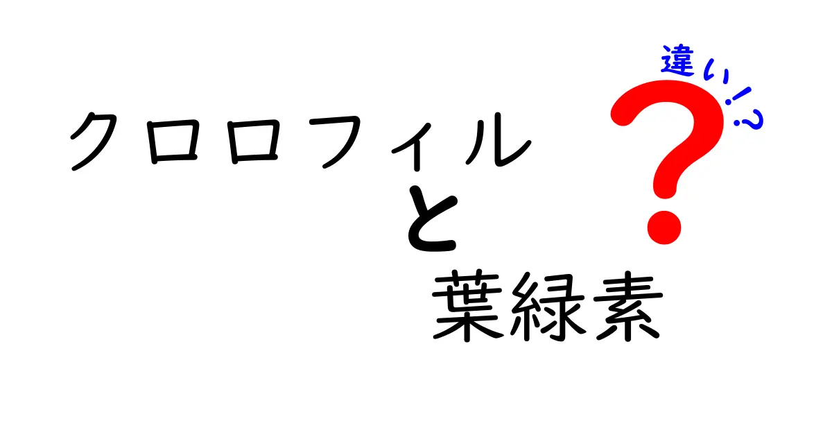 クロロフィルと葉緑素の違いを中学生にもわかるよう解説!役割から見分け方まで徹底ガイド