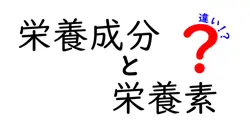 栄養成分と栄養素の違いを徹底解説|何が違うのかを中学生にも分かる言葉で