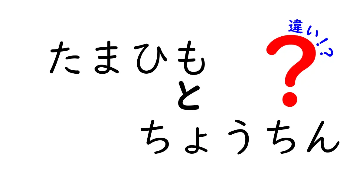 たまひもとちょうちんの違いを徹底解説:意味・起源・使い方を分かりやすく比較