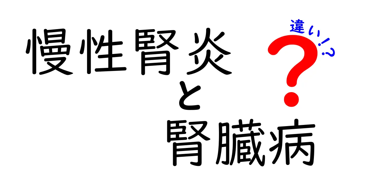 慢性腎炎と腎臓病の違いを徹底解説！病名の意味と生活への影響を中学生にもわかりやすく