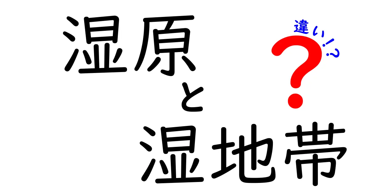 湿原と湿地帯の違いを徹底解説!見分け方と生き物の秘密