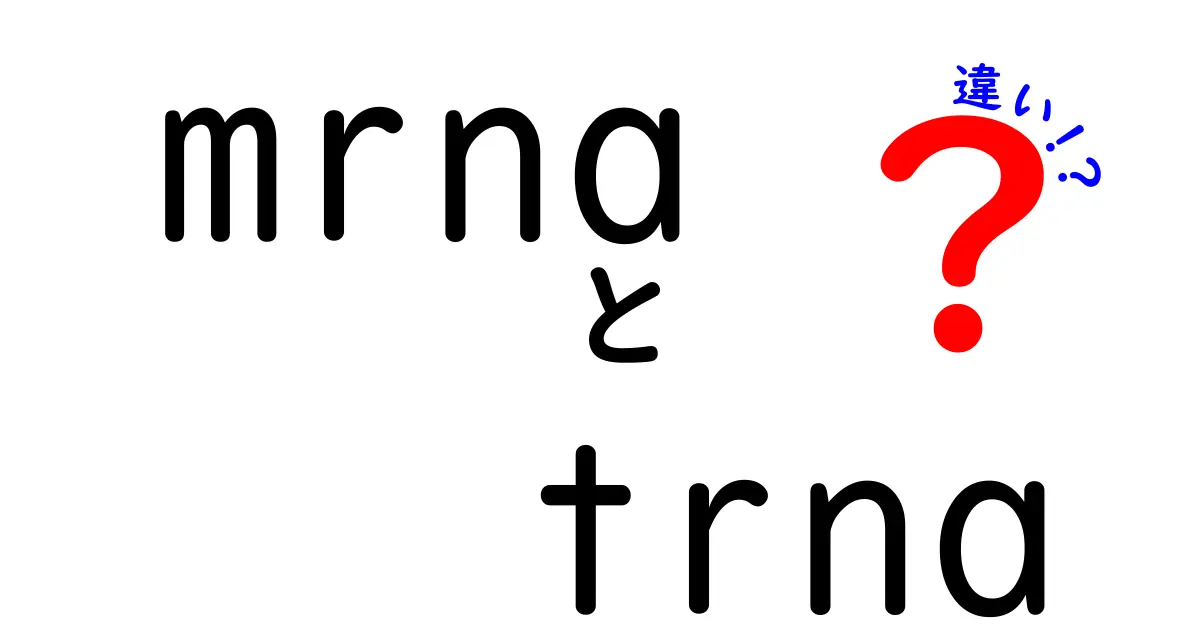 mRNAとtRNAの違いを徹底解説!中学生にもわかる生体の翻訳ガイド