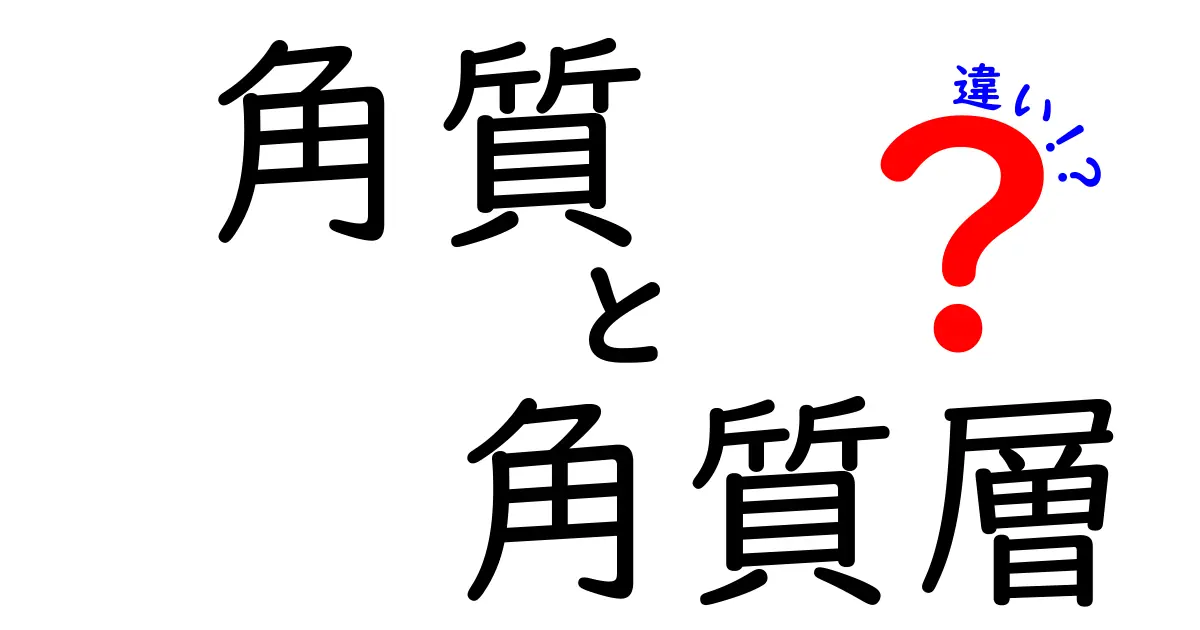 角質と角質層の違いを徹底解説！肌の基礎知識を中学生にもわかる言葉で解く
