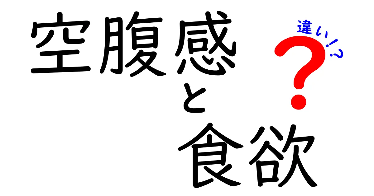 空腹感と食欲の違いを徹底解説!見分け方と3つのサインであなたの食習慣を改善