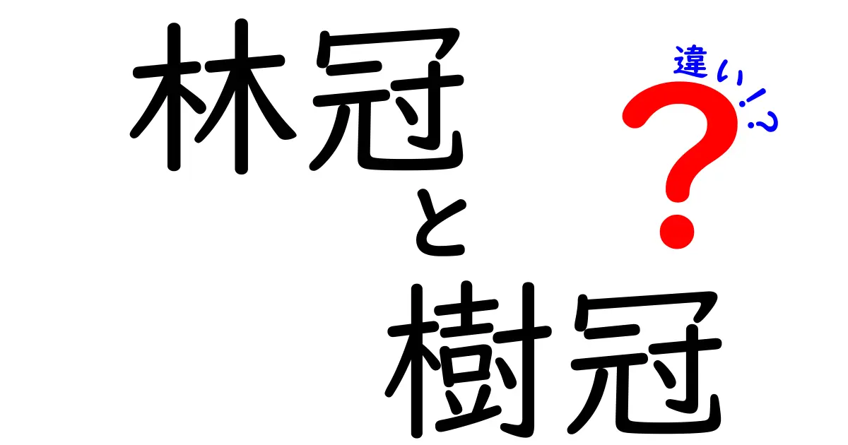 林冠と樹冠の違いを完全ガイド｜木の上の世界を読み解く基本と観察のコツ