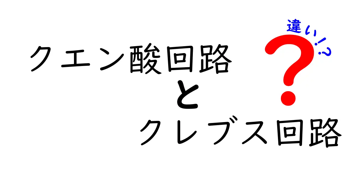 クエン酸回路とクレブス回路の違いを徹底解説!中学生にもわかる生体エネルギーの秘密