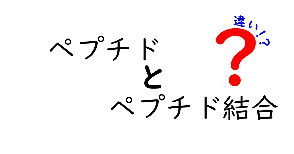 ペプチドとペプチド結合の違いを完全図解でわかりやすく解説 中学生にも伝わる基礎入門