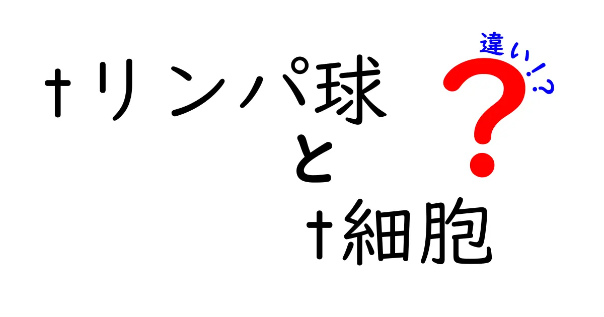 tリンパ球とt細胞の違いを徹底解説：免疫のしくみをやさしく理解しよう
