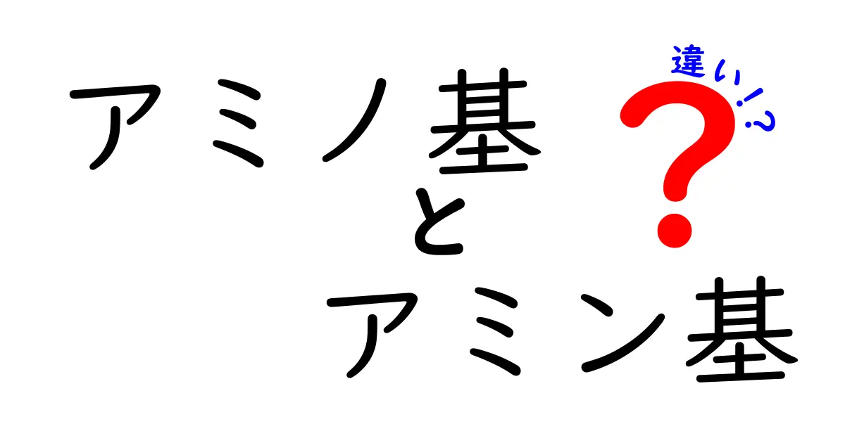 アミノ基とアミン基の違いをやさしく解説:中学生にも伝わる基礎から実例まで