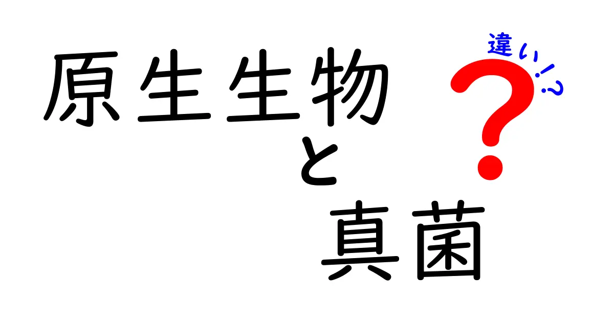 原生生物の違いと真菌の違いを徹底解説!中学生にも伝わるポイント整理