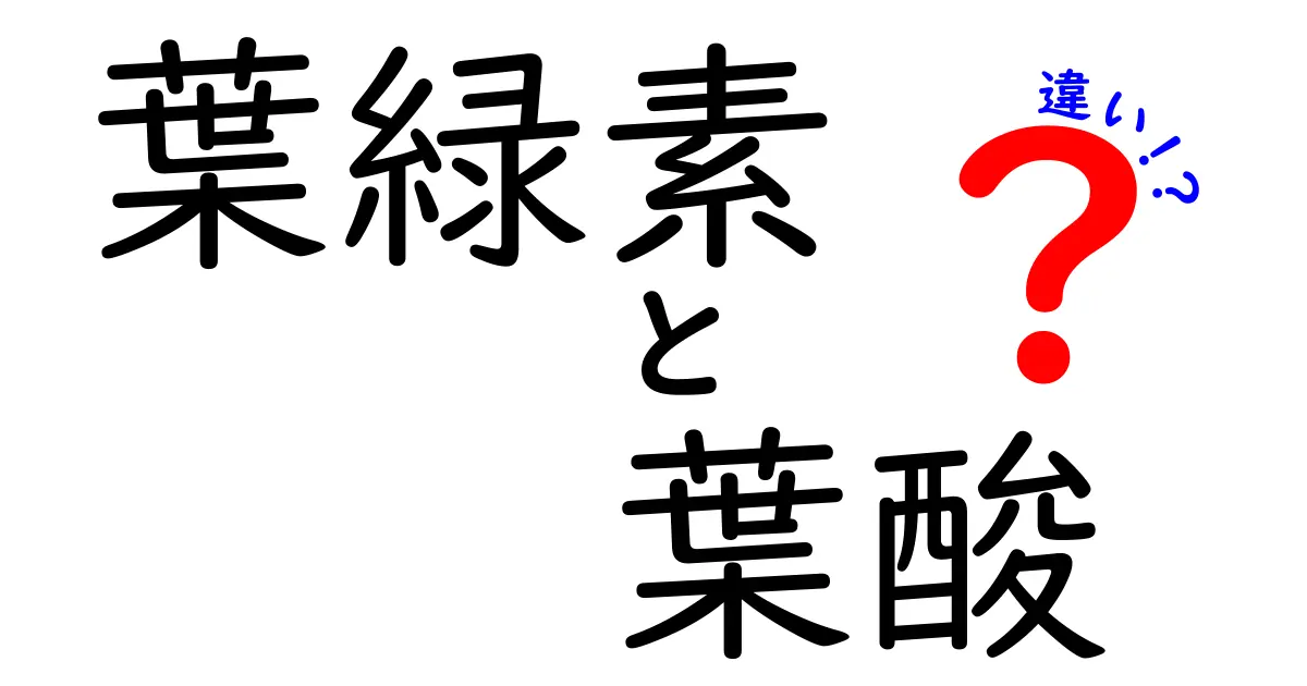 葉緑素と葉酸の違いを徹底解説！身近な食品から学ぶ、役割と選び方のポイント