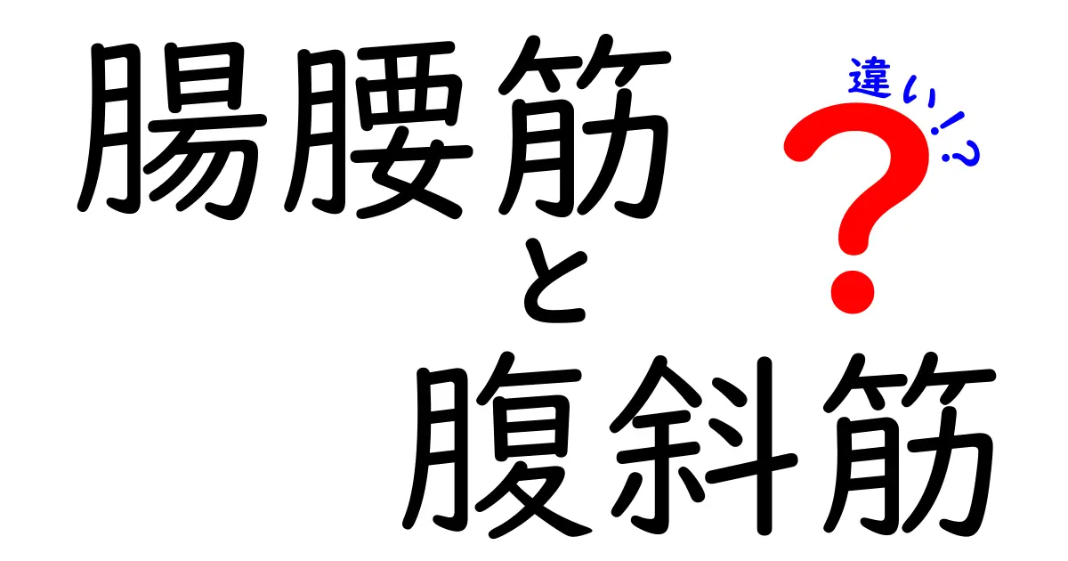 腸腰筋と腹斜筋の違いを徹底解説！中学生にもわかる基礎ガイドで鍛え方まで