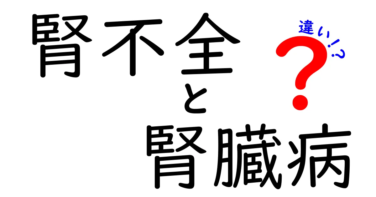 腎不全と腎臓病の違いを徹底解説!中学生にもわかる優しい解説と見分け方