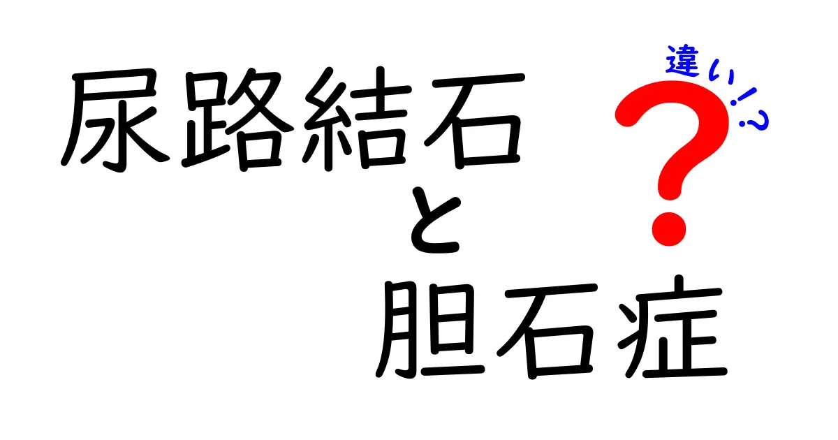 尿路結石と胆石症の違いを徹底解説:症状・原因・治療のポイントをわかりやすく比較