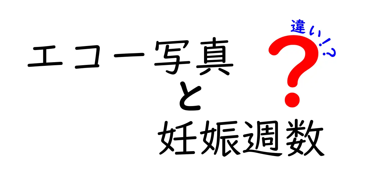 エコー写真 妊娠週数の違いを徹底解説|初期・中期・後期でどう変わるのか?