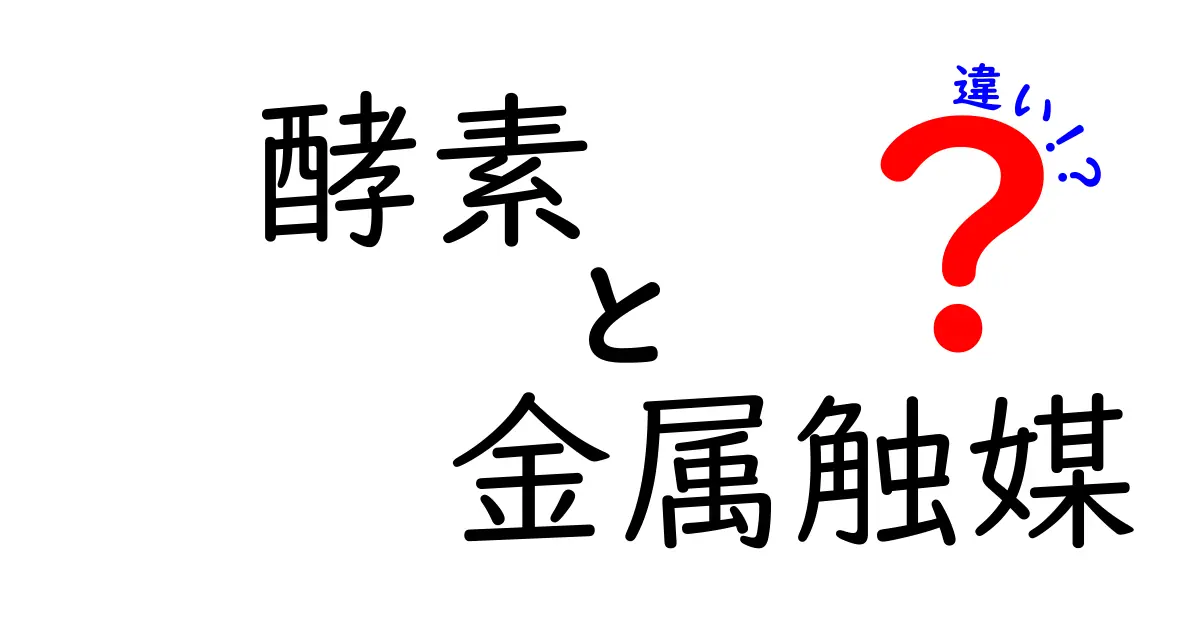 酵素と金属触媒の違いを徹底比較！中学生にもわかるポイントをやさしく解説