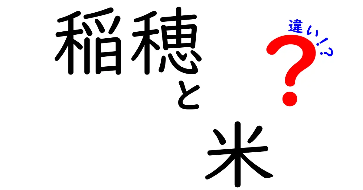 稲穂と米の違いを徹底解説！見分け方と知って得する3つのポイント
