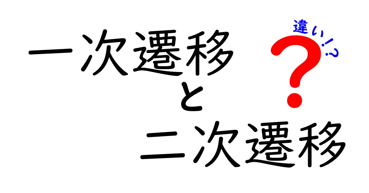 一次遷移と二次遷移の違いをわかりやすく解説:中学生にも理解できる入門ガイド