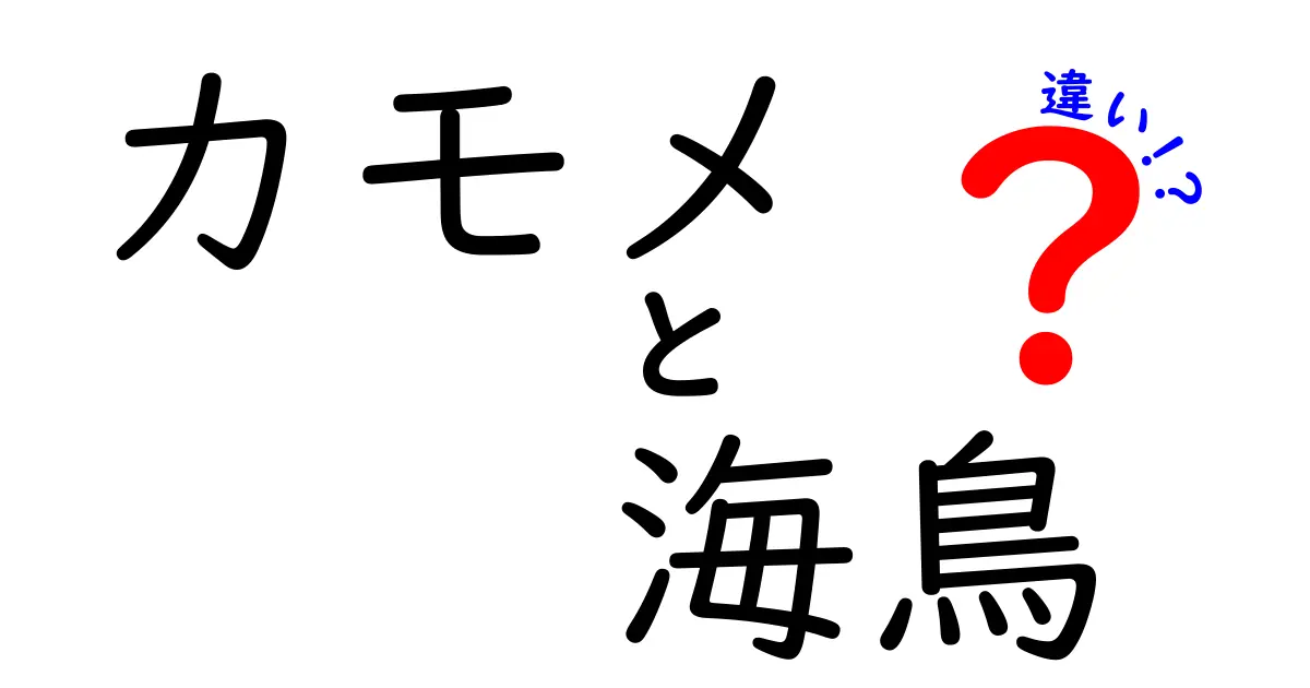 カモメと海鳥の違いを徹底解説!見分け方・生態・観察のコツ