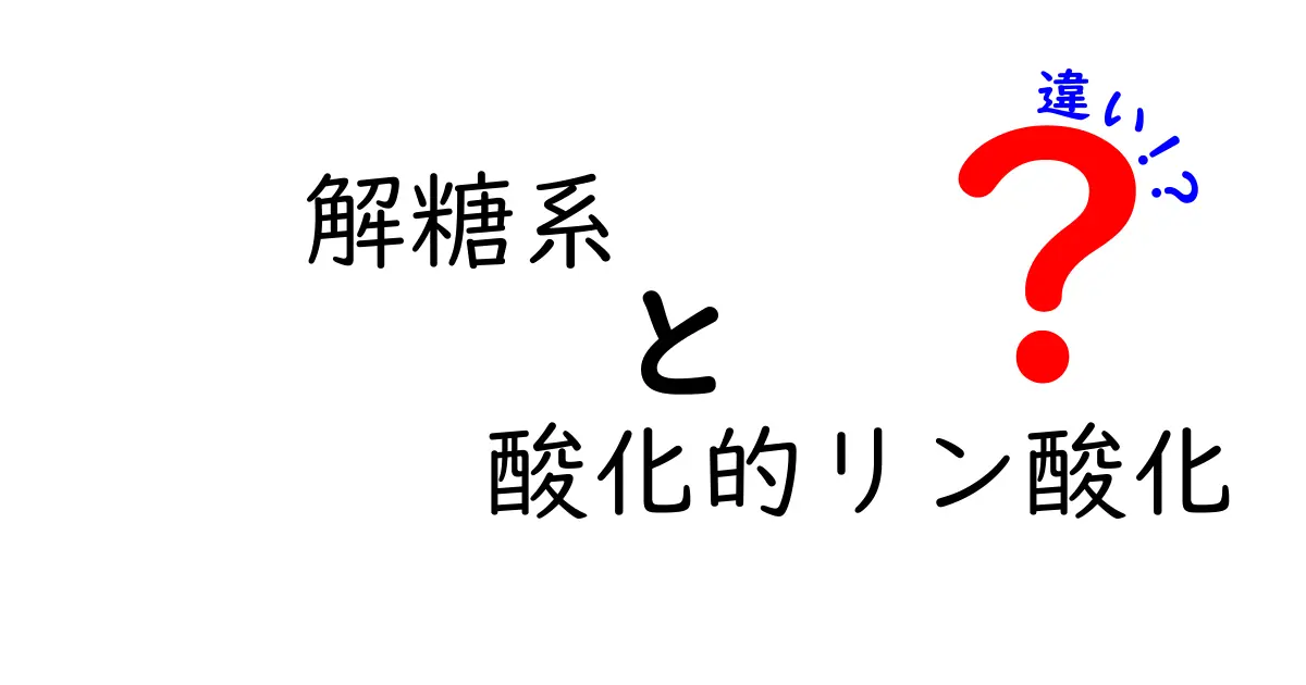 解糖系と酸化的リン酸化の違いをやさしく解説!中学生にもわかる入門ガイド