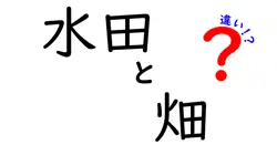 水田と畑の違いを徹底解説!地形や水管理が作物と生活をどう変えるのか