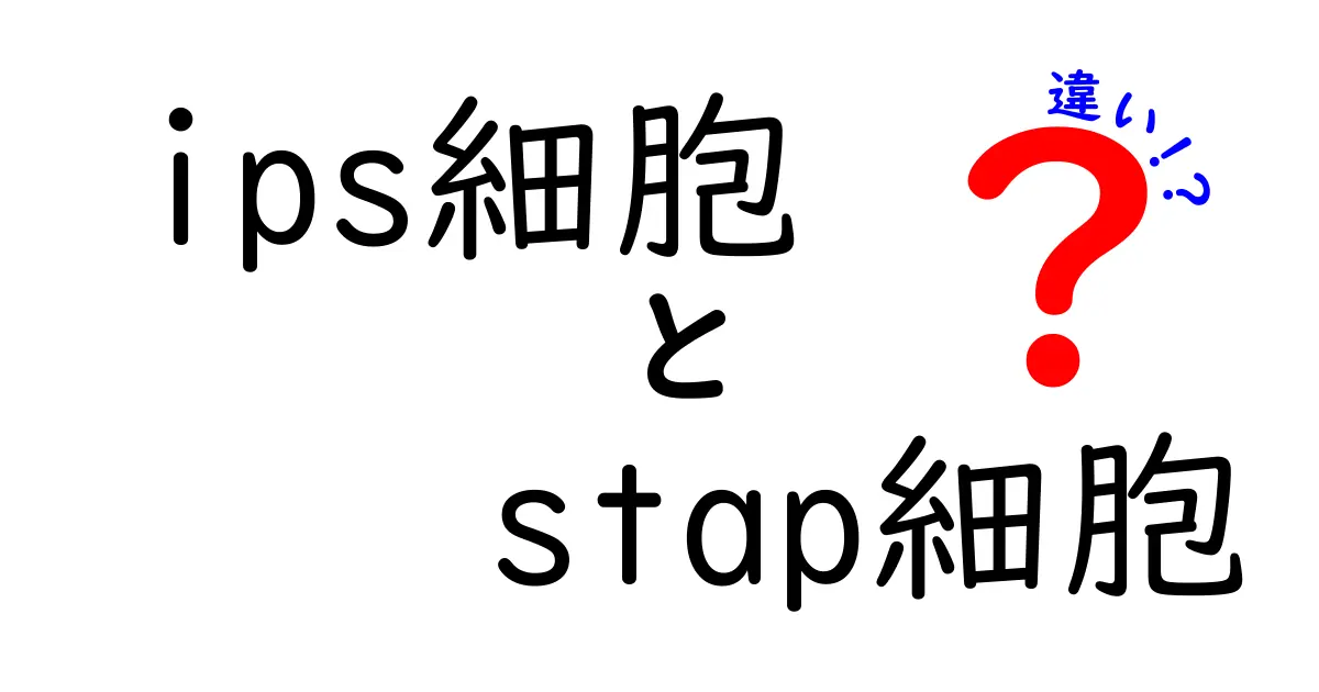 IPS細胞とSTAP細胞の違いがよくわかる解説：中学生にもわかる噛み砕き比較