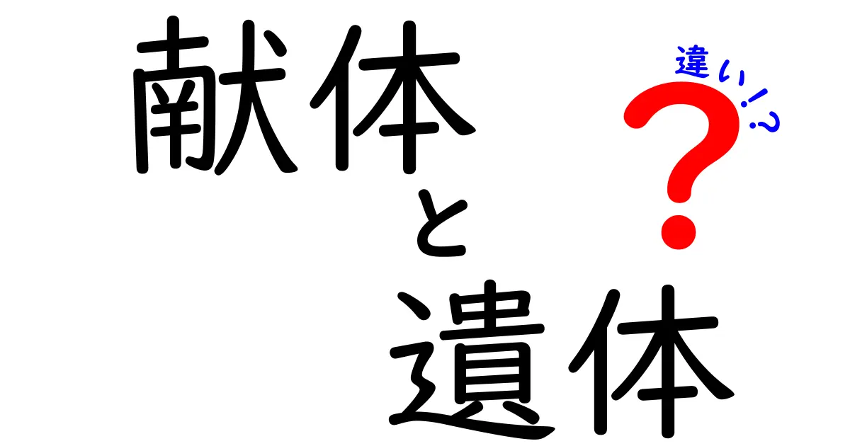 献体と遺体の違いを徹底解説｜中学生にも分かる3つのポイントと誤解を解くコツ
