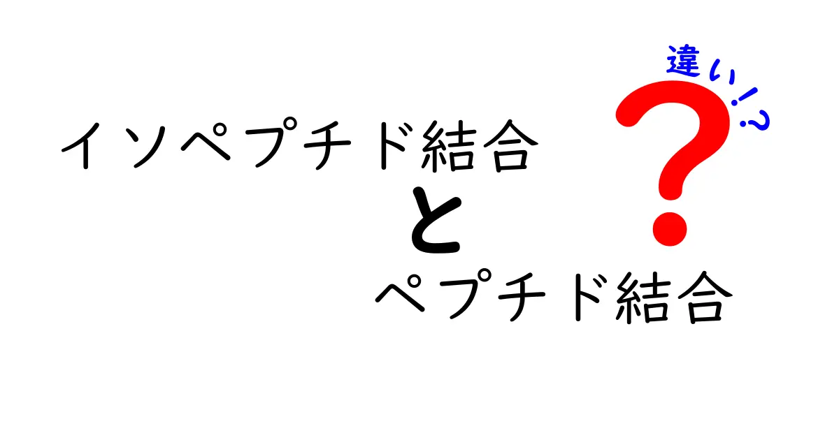 ペプチド結合とイソペプチド結合の違いを徹底解説!中学生にもわかるわかりやすいポイント