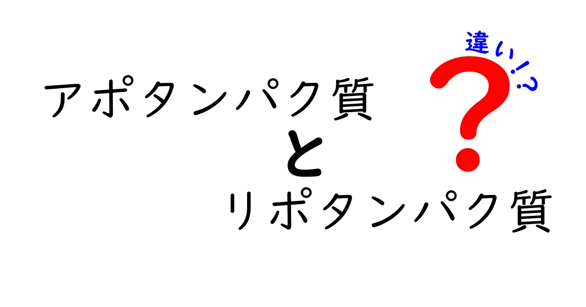アポタンパク質とリポタンパク質の違いをわかりやすく解説!中学生にも伝わる基礎ガイド