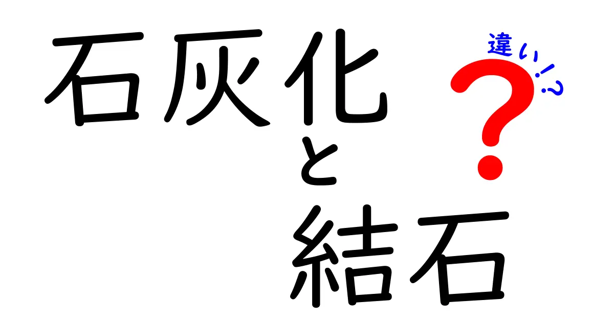 石灰化と結石の違いを中学生にもわかるやさしい解説