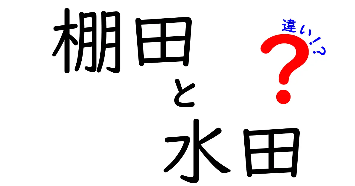 棚田と水田の違いを徹底解説|形と機能で分かる日本の田んぼの秘密