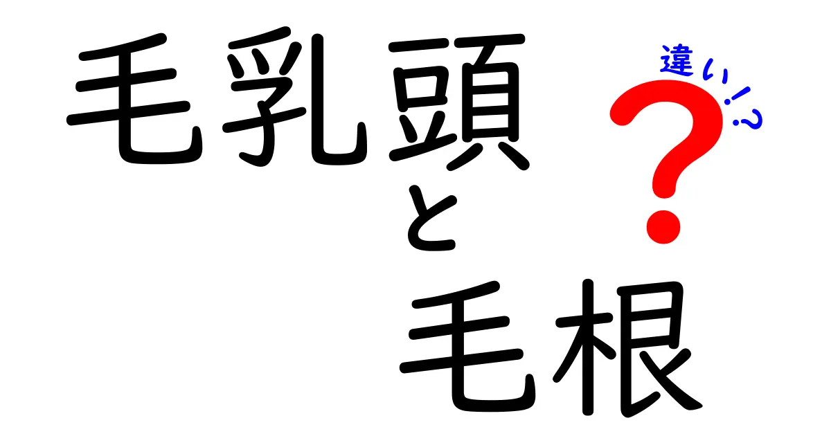 毛乳頭と毛根の違いを徹底解説！髪が伸びる仕組みを中学生にもわかるやさしい解説