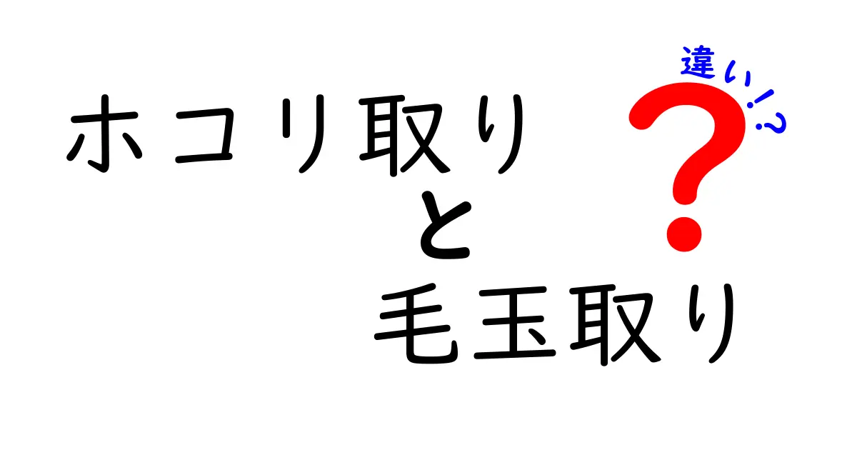 ホコリ取りと毛玉取りの違いを徹底解説|用途・使い方・選び方を完全比較