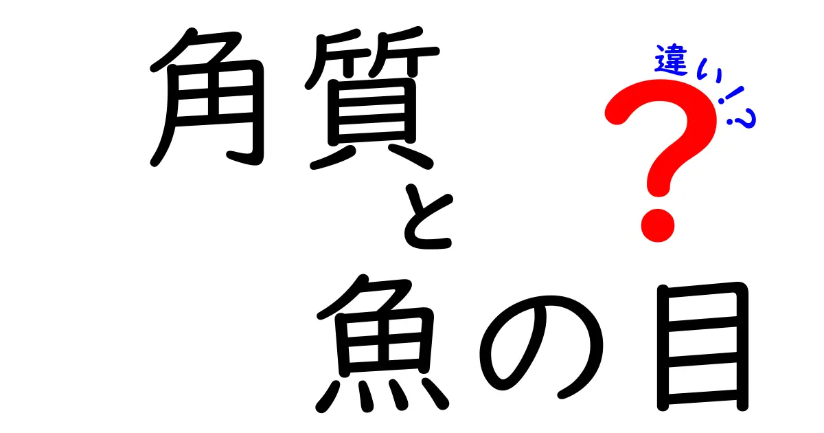 角質と魚の目の違いを徹底解説|見分け方と正しいケアで悩みを解消