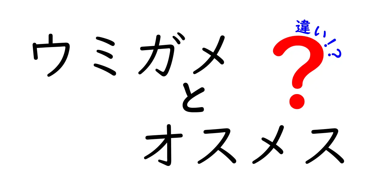 ウミガメ オスメス 違いを詳しく解説!見分け方と生態の秘密