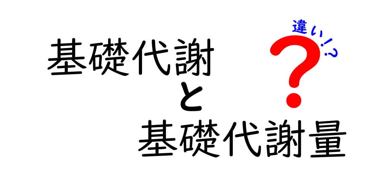 基礎代謝と基礎代謝量の違いを徹底解説!どっちがあなたのダイエットに効く?