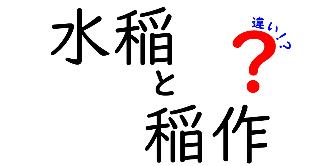 水稲と稲作の違いって何？初心者にもわかる徹底ガイド！