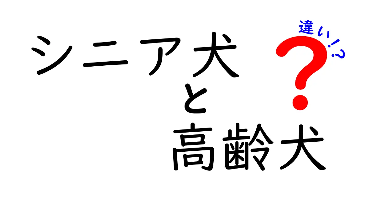 シニア犬と高齢犬の違いを徹底解説｜飼い主が押さえるべきポイント