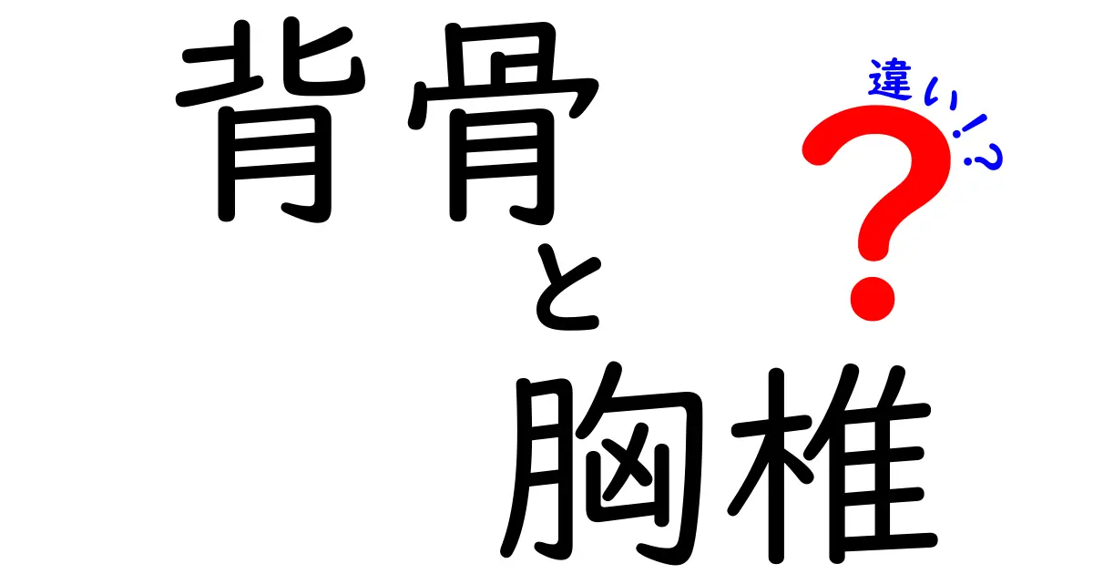 背骨と胸椎の違いとは？中学生にもわかるやさしい解説