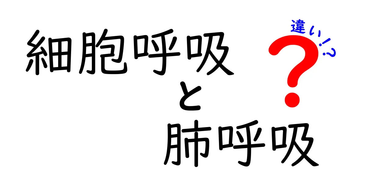細胞呼吸と肺呼吸の違いを徹底解説:仕組み・場所・役割をわかりやすく比較