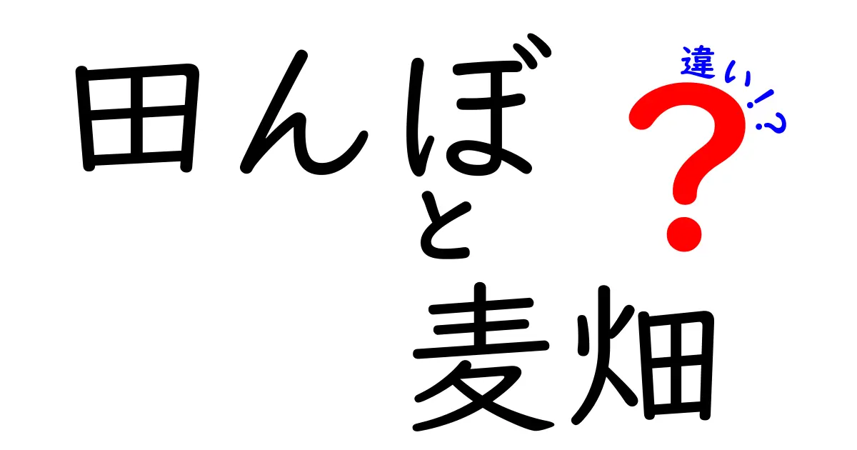 田んぼ　麦畑　違いを徹底解説！見分け方と作物の秘密を写真と体験で学ぶ