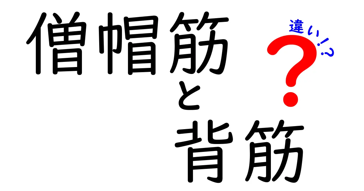 知らないと損する! 僧帽筋と背筋の違いを中学生にも分かるように解説