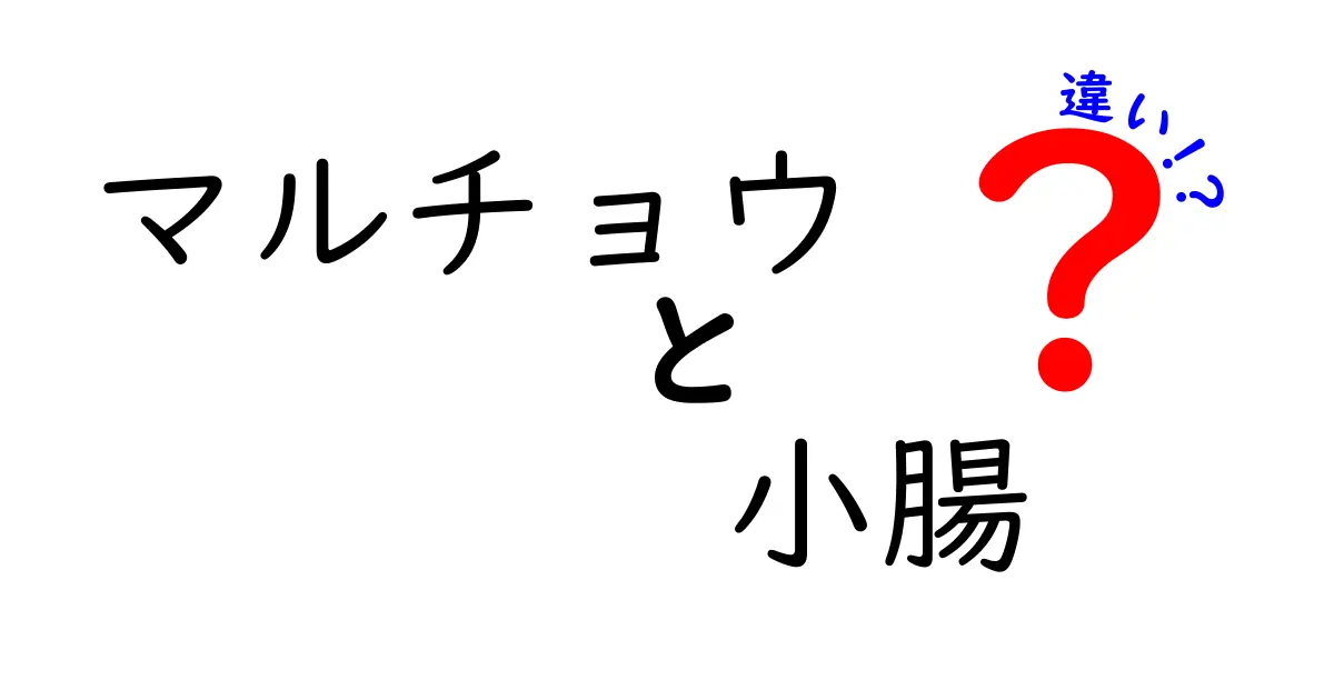 マルチョウと小腸の違いを徹底解説!料理前に知っておくべき3つのポイント