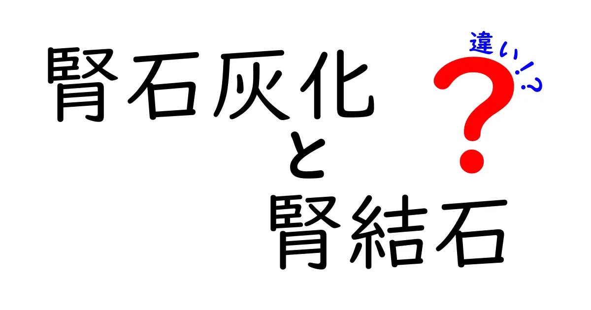 腎石灰化と腎結石の違いを徹底解説！見分け方・症状・予防までわかる最短ガイド